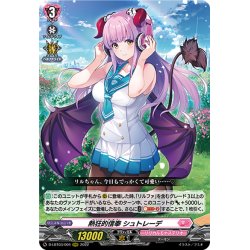 画像1: 熱狂的信奉 シュトレーデ[VG_D-LBT03/004RRR]