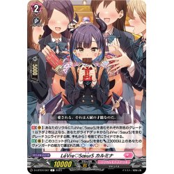 画像1: LeVre♡SoeurS カルミナ[VG_D-LBT04/067C]