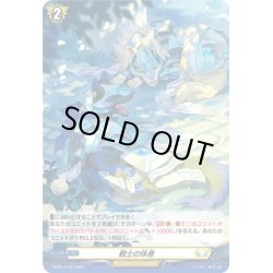 画像1: 【H仕様】戦士の休息[VG_D-PR/1133]
