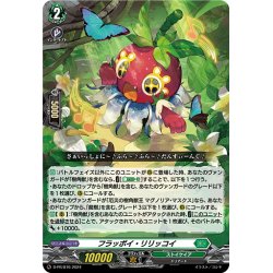 画像1: フラッポイ・リリッコイ[VG_D-PR/876]