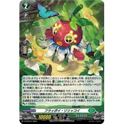 画像1: 【H仕様】フラッポイ・リリッコイ[VG_D-PR/877]