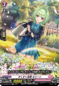 【番号なし】すくすく花壇 セリーン[VG_DZ-SD06/007TD]