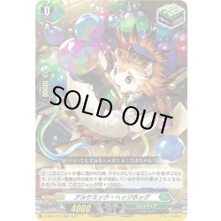 画像1: アルケミック・ヘッジホッグ[VG_D-SS02/034RR]