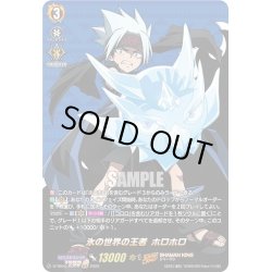 画像1: 【SKR仕様(RR)】氷の世界の王者 ホロホロ[VG_D-TB04/SKR16SKR]