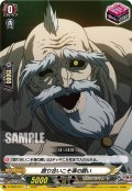 殴り合いこそ漢の闘い[VG_D-TB05/071C]