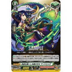 画像1: 英雄を慕いし決意の王女 アンドロメダ[VG_D-TB06/031RR]