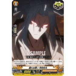 画像1: 譲れぬ戦い 阿弥陀丸[VG_D-TTD04/011]