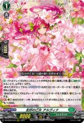 友好の乙女 アルヴィナ[VG_DZ-BT03/018RRR]