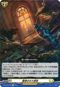 監視された密会[VG_DZ-BT03/078R]