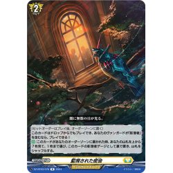画像1: 監視された密会[VG_DZ-BT03/078R]