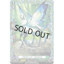 画像1: 【FR仕様】フルナレッジ・フォクシル[VG_DZ-BT04/FR36]