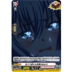 画像1: 【EXC仕様】五人で迎える合宿のおわり[VG_DZ-BT07/EX24]