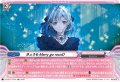 【EXC仕様】きょうもMerry go rounD[VG_DZ-BT07/EX25]