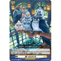 画像1: 憩いの止まり木[VG_DZ-BT08/058R]