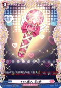 【FR仕様】キミに届け、私の歌[VG_DZ-BT08/FR48]