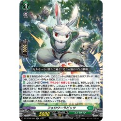 画像1: フォロワーラビッツ[VG_DZ-BT09/040RR]