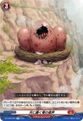 天に轟く竜の産声[VG_DZ-BT09/044R]