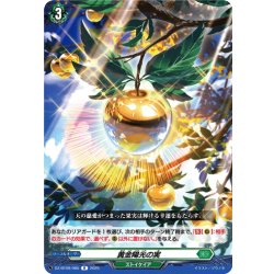 画像1: 黄金陽光の実[VG_DZ-BT09/065R]