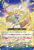 花開け、此処は真なる宵の楽園[VG_DZ-BT10/062R]
