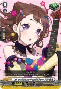 10th anniversary Poppin'Party 戸山 香澄[VG_DZ-BT10/EX01]