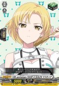 10th anniversary RAISE A SUILEN マスキング[VG_DZ-BT10/EX33]