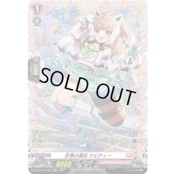 画像1: 【FR仕様】圧巻の演出 ナビティー[VG_DZ-BT10/FR43]