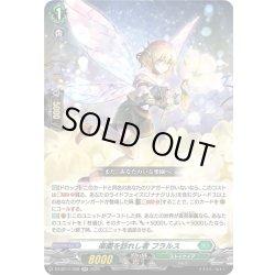 画像1: 楽園を訪れし者 フラルス[VG_DZ-BT11/038RR]