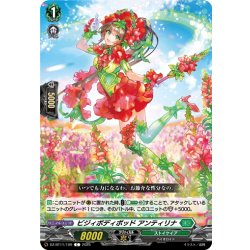 画像1: ビジィボディポッド アンティリナ[VG_DZ-BT11/109C]