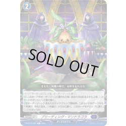 画像1: ブリーディング・マンドラゴラ[VG_DZ-BT12/081C]