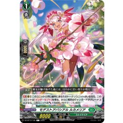 画像1: モデストアバシアル ルカメリア[VG_DZ-BT12/105C]