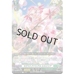 画像1: モデストアバシアル ルカメリア[VG_DZ-BT12/105C]