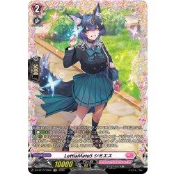 画像1: 【FR仕様】LettiaMateS シミエス[VG_DZ-BT13/FR50]