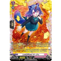 画像1: 【FR仕様】LettiaMateS ターヌゥ[VG_DZ-BT13/FR52]