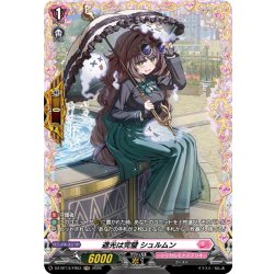 画像1: 【FR仕様】遮光は完璧 シュルムン[VG_DZ-BT13/FR53]
