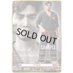 画像1: 【RGGR仕様】ミヤさん[VG_DZ-BT14/RGGR28]