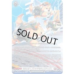 画像1: 【SR仕様】それいけ！ブリッツセキュリティズ！[VG_DZ-BT15/SR23]