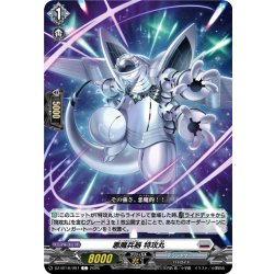 画像1: 悪魔兵器 特攻丸[VG_DZ-BT16/097C]