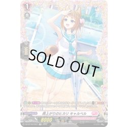 画像1: 【FR仕様】雨上がりのヒカリ キャルベル[VG_DZ-BT16/FR47]