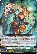 フィネッスフォックス[VG_DZ-BT17/038RR]