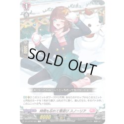 画像1: 時間も忘れて雪遊び スノーリア[VG_DZ-LBT02/083C]