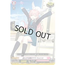 画像1: 朗らかな陽の下で ウォリス[VG_DZ-SS01/048C]
