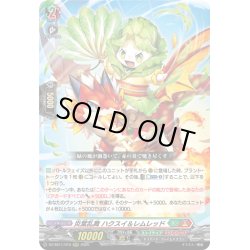 画像1: 炎葉乱舞 ハクスイ＆レムレッド[VG_DZ-SS11/019RRR]
