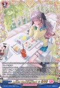 【FFR仕様】Lyrical ShootingStarS ☆ 増刊号[VG_DZ-SS11/FFR18]