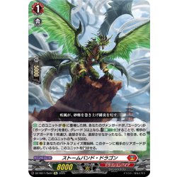 画像1: 【Re仕様(RR加工)】ストームバンド・ドラゴン[VG_DZ-SS11/Re04]