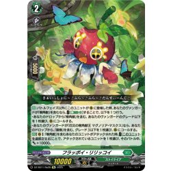 画像1: 【Re仕様(RR加工)】フラッポイ・リリッコイ[VG_DZ-SS11/Re28]