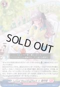 【Re+仕様】Lyrical ShootingStarS ☆ 増刊号[VG_DZ-SS11/Re48]