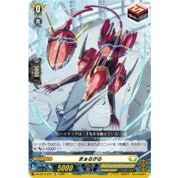 画像1: まぁるがる[VG_DZ-SS14/016TD]