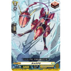 画像1: 【TDR仕様】まぁるがる[VG_DZ-SS14/016R_TDR]