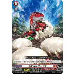 画像1: 幼竜 ガルグレックス[VG_DZ-SS16/Re11]
