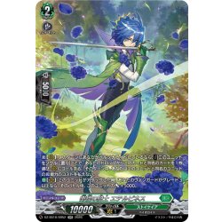 画像1: 【SR仕様】衛福の騎士 エテルピネス[VG_DZ-SS16/SR52]
